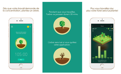 Infographie montrant deux iphones et un screen, chacun contenant des arbres